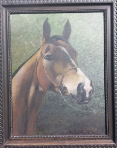 Koń-portret 2