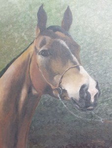 Koń-portret